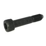 Anti-roll blade screw