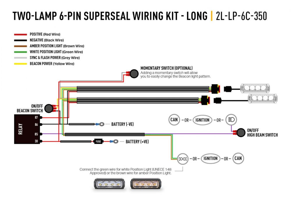 Two-Lamp Wiring Kit - Long (6-Pin, Superseal, 12V) - Race and Rally