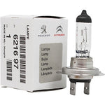 Headlight Lamp H7 12V-55W