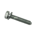 Screw TH RDL M10x55