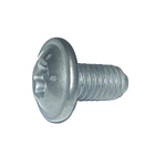 RLX Screw M6x100 L12