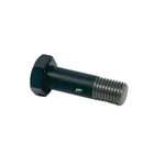 Caster Arm Screw