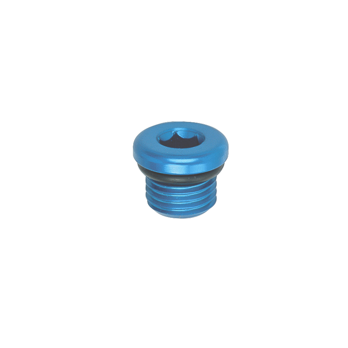 Male Port Plug with HEX socket (o-ring) - Race and Rally