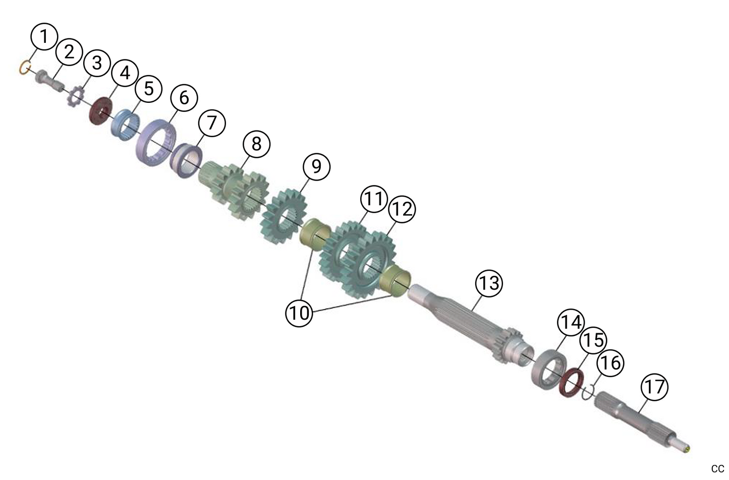 C231 - Primary Line - Race and Rally