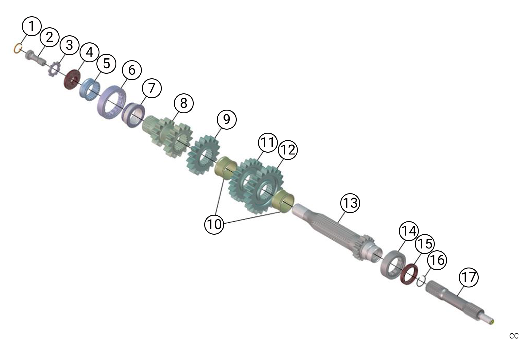 C231 - Primary Line - Race and Rally