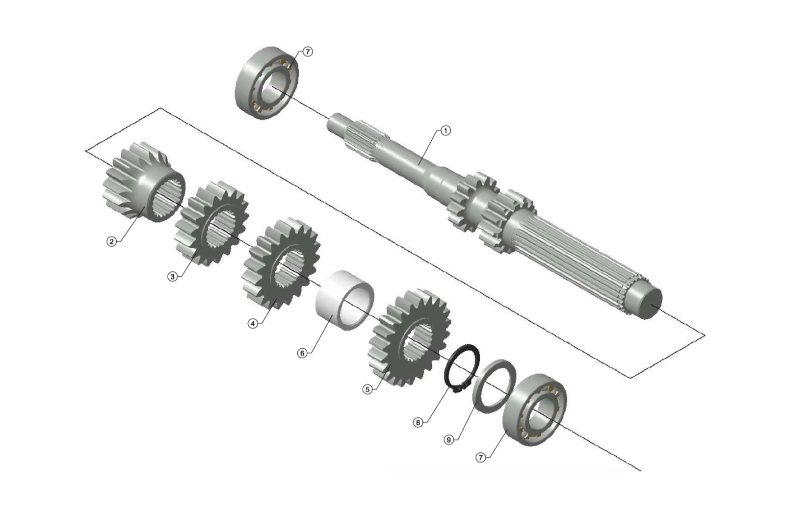 C231 - Primary Line - Race and Rally