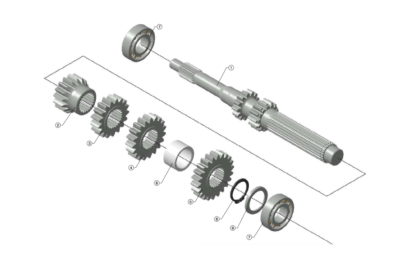 C231 - Primary Line - Race and Rally