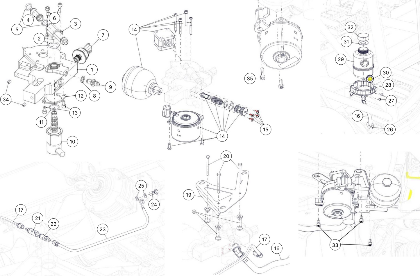 C29 - Peal - Race and Rally