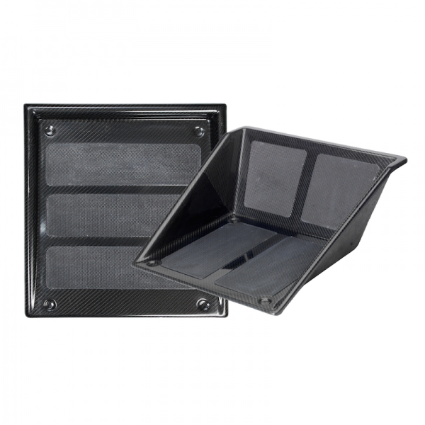 Carbon Fibre Driver & Co-Driver Foot Rest Package