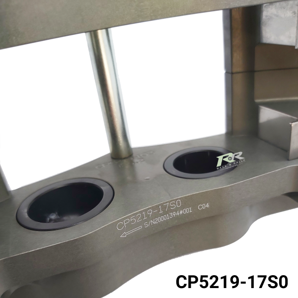 CP5219-17S0 - Pistons