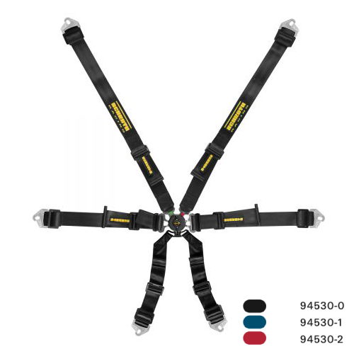 Schroth Racing Flexi 2x2 - 94530