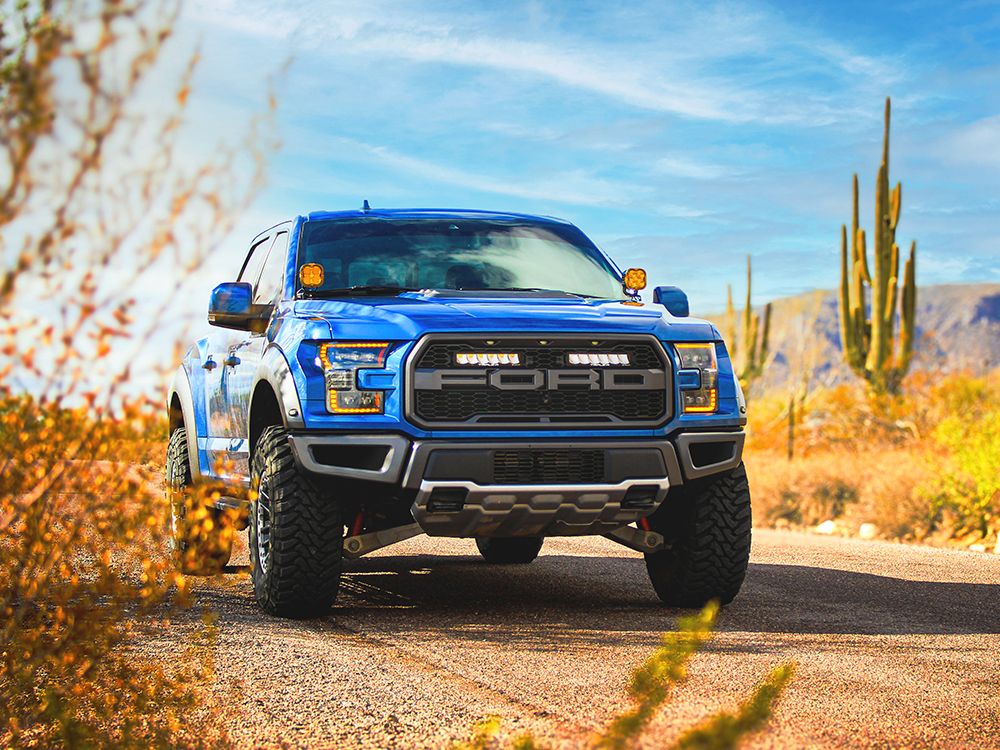 Ford F-150 Raptor (2017-2020) Grille Kit - Race and Rally