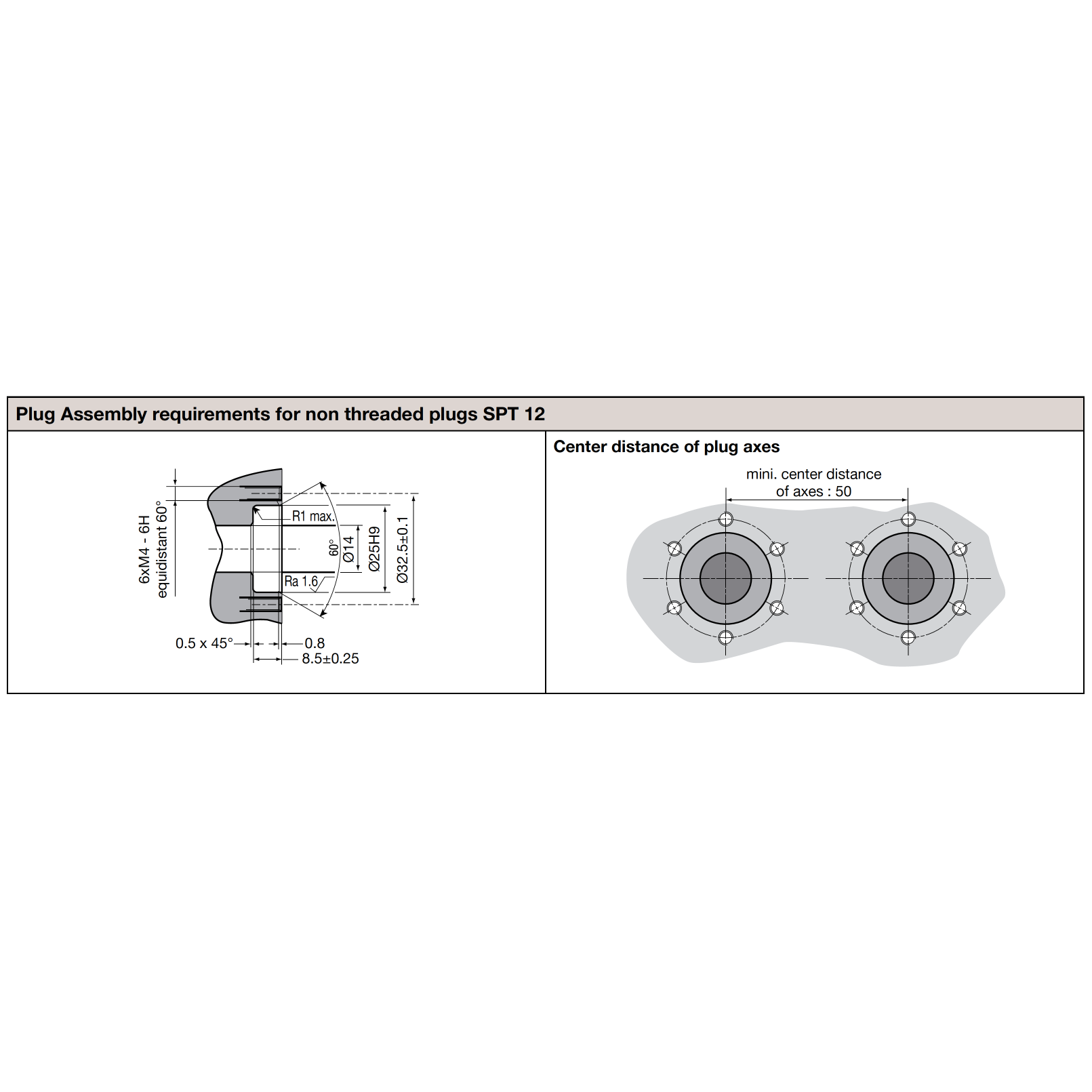 Plug assembly requirements for non threaded plugs SPT12