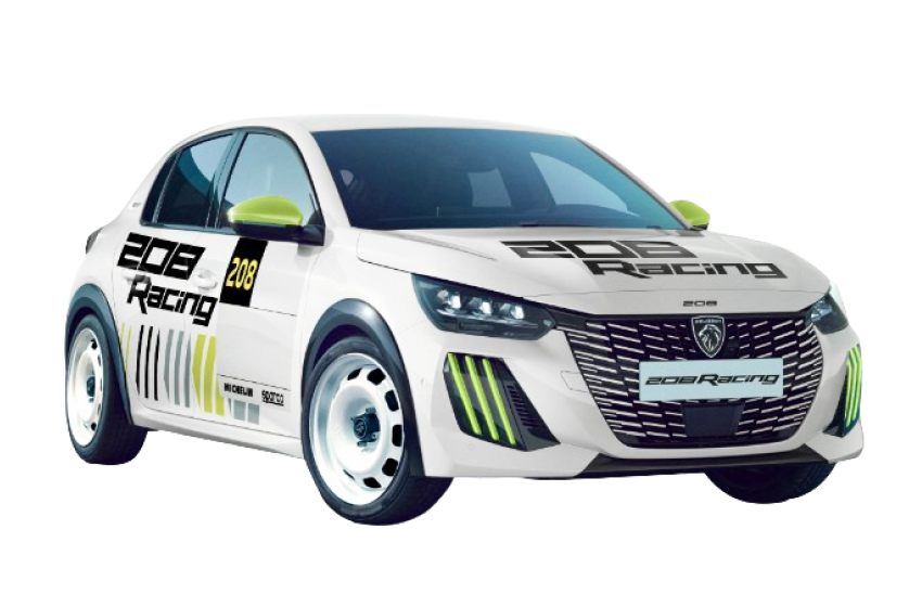 Peugeot 208 Racing - FR6