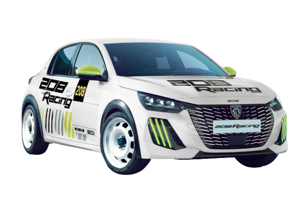 Peugeot 208 Racing - FR6