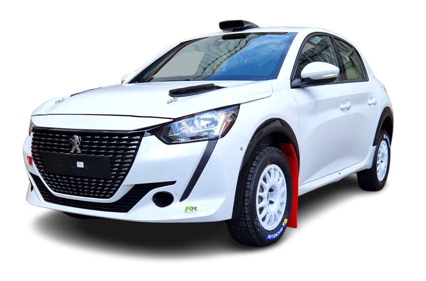 208 Rally 4 Assembled Car