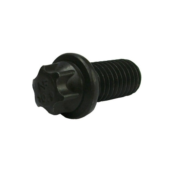 Crankshaft Pulley Screw M8x16