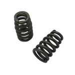Valve spring PSI