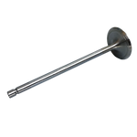Intake valve