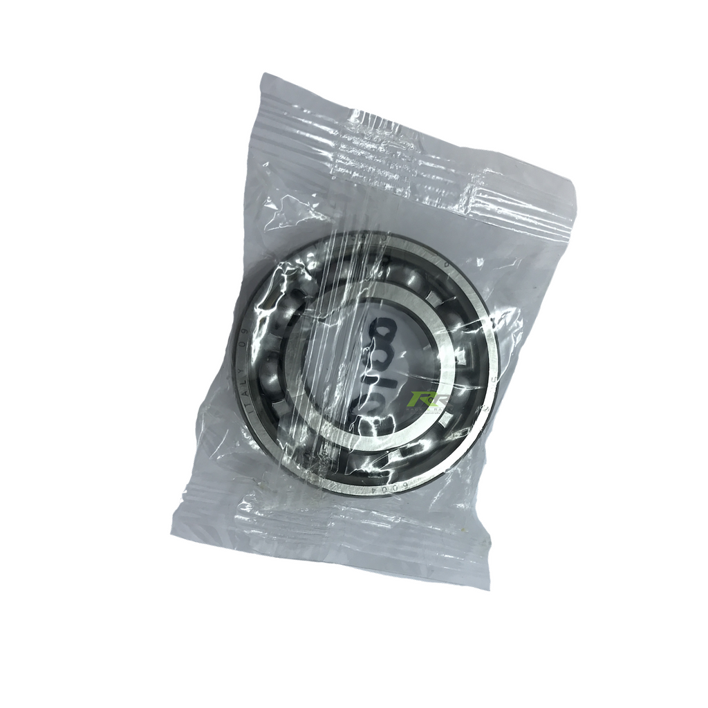 Bearing 6004