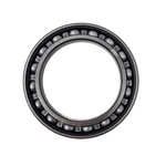 61910 Bearing