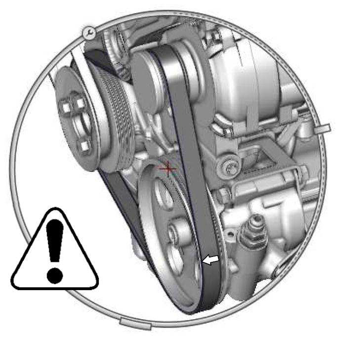 1301 - Accessory Belt