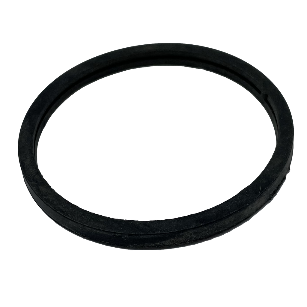 Thermostat seal