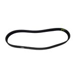 Accessory Belt