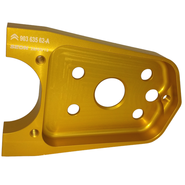 Rear Brake Caliper Mount