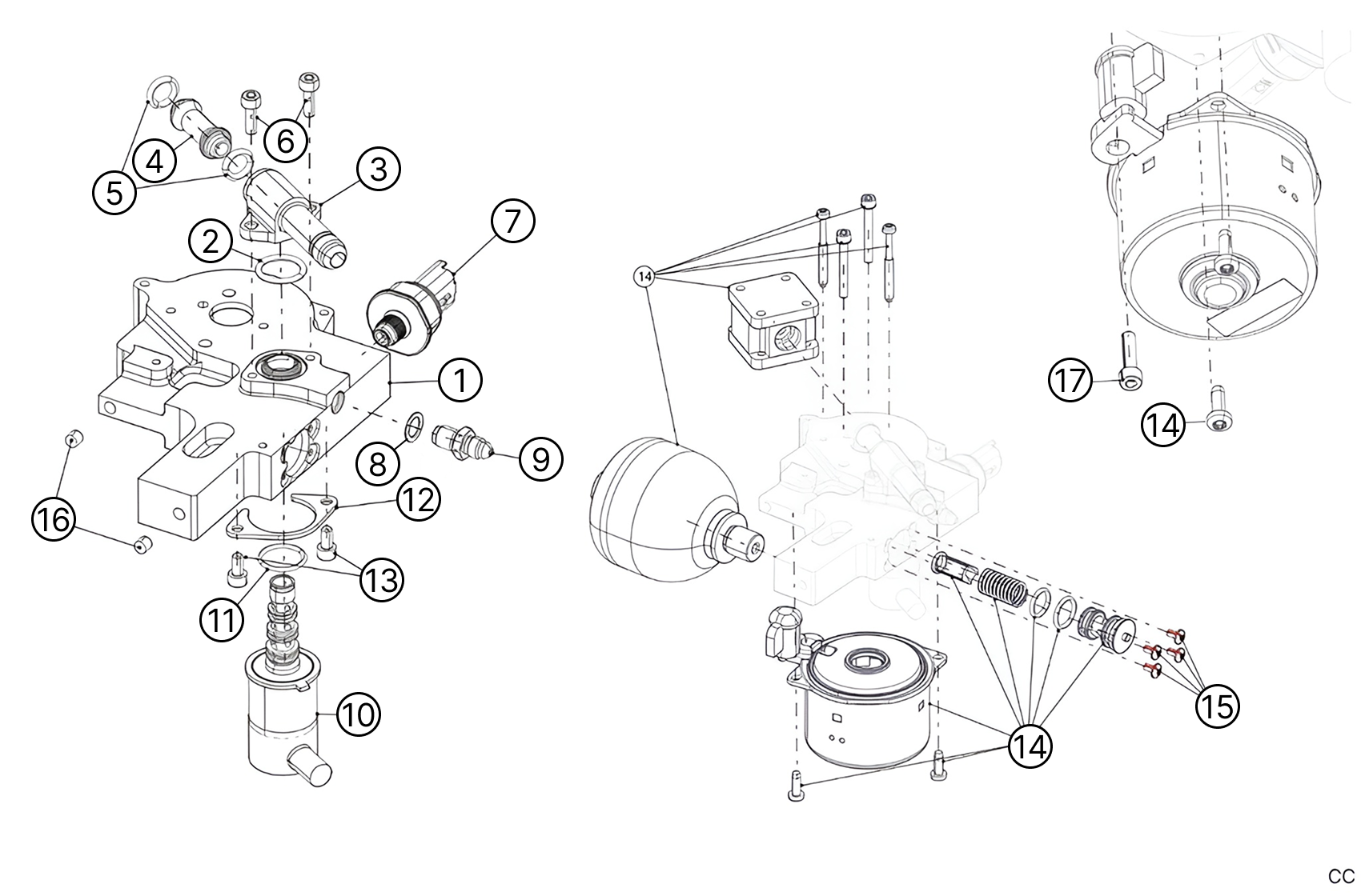 C29 - Peal - Race and Rally
