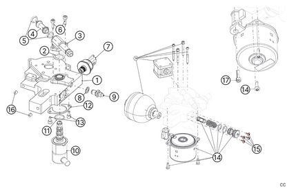 C29 - Peal - Race and Rally