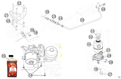 C29 - Peal - Race and Rally