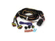Two-Lamp Wiring Kit - Long (6-Pin, Superseal, 12V)