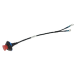 Fuel pump loom