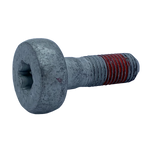 Caliper Screw 12X150-36