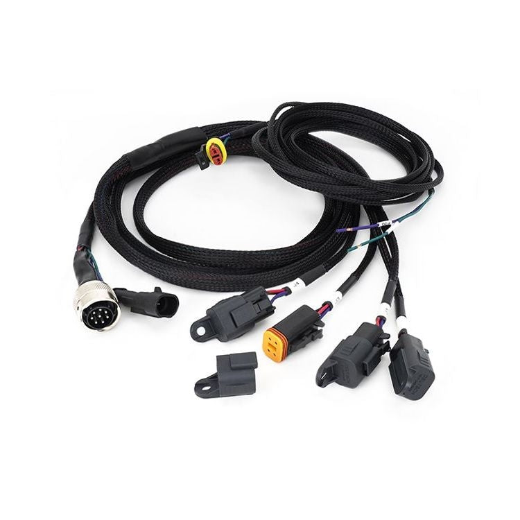 Wiring Loom