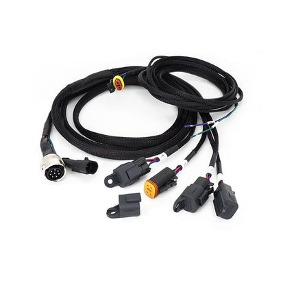 Wiring Loom