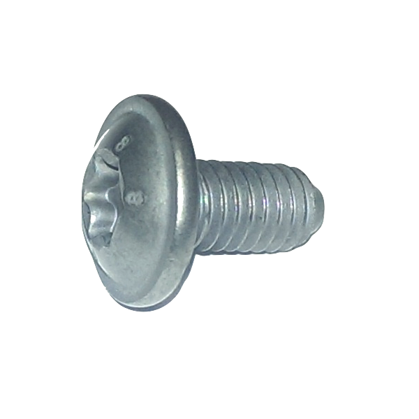 RLX Screw M6x100 L12