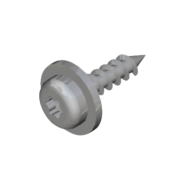 CBLX Screw 6x25
