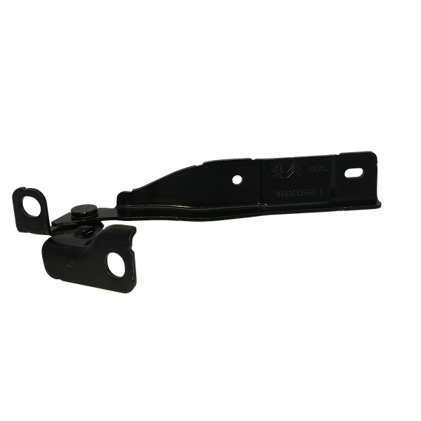 DS3 Left Bonnet Hinge