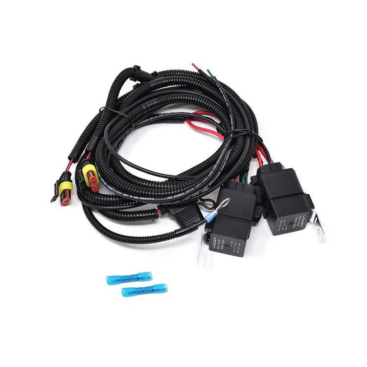 8231-12V-SP
