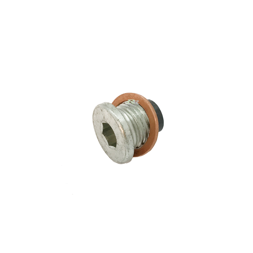 Magnet Drain Plug & seal
