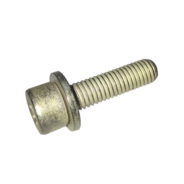 CX Screw RPN M8X125 L30