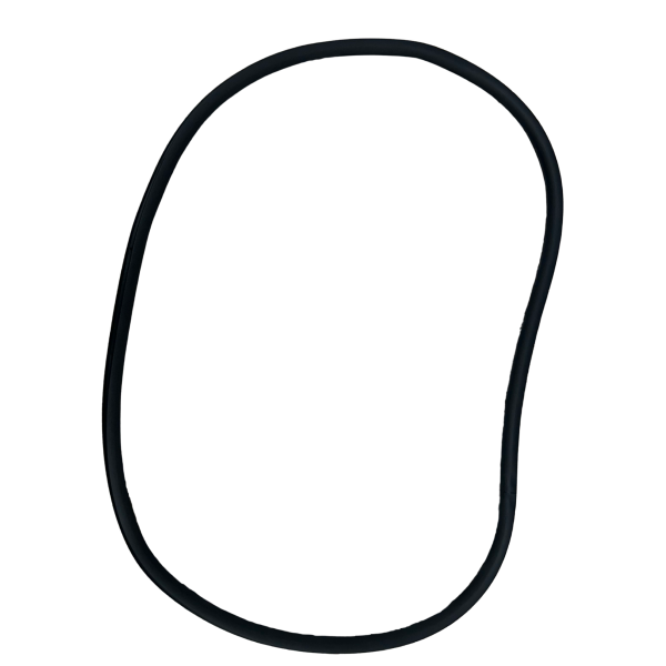 GASKET INCOMING RIGHT REAR DOOR