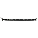 Front Bumper Black Trim