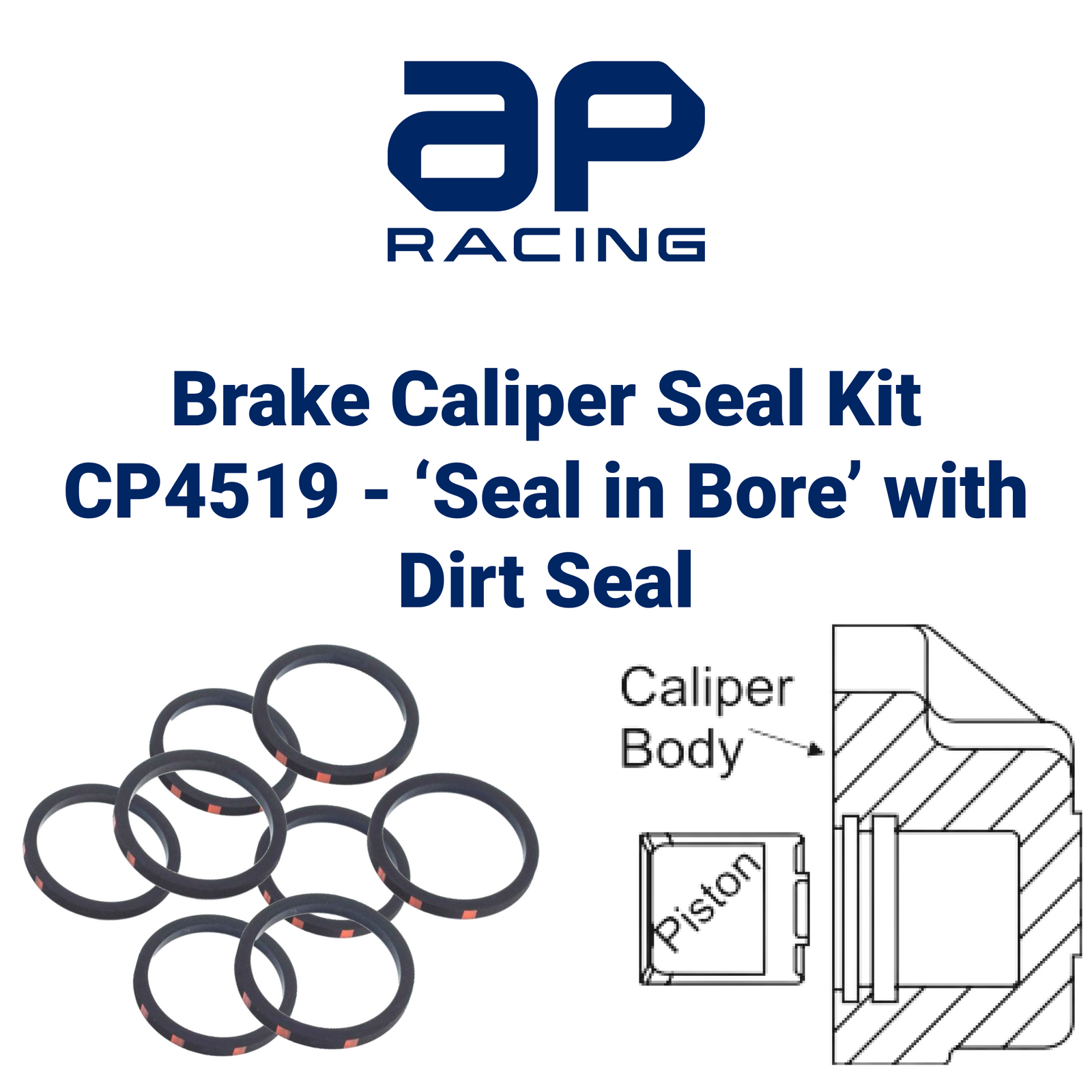 CP4519 - Seal in Bore with Dirt Seal Replacement Seal Kit