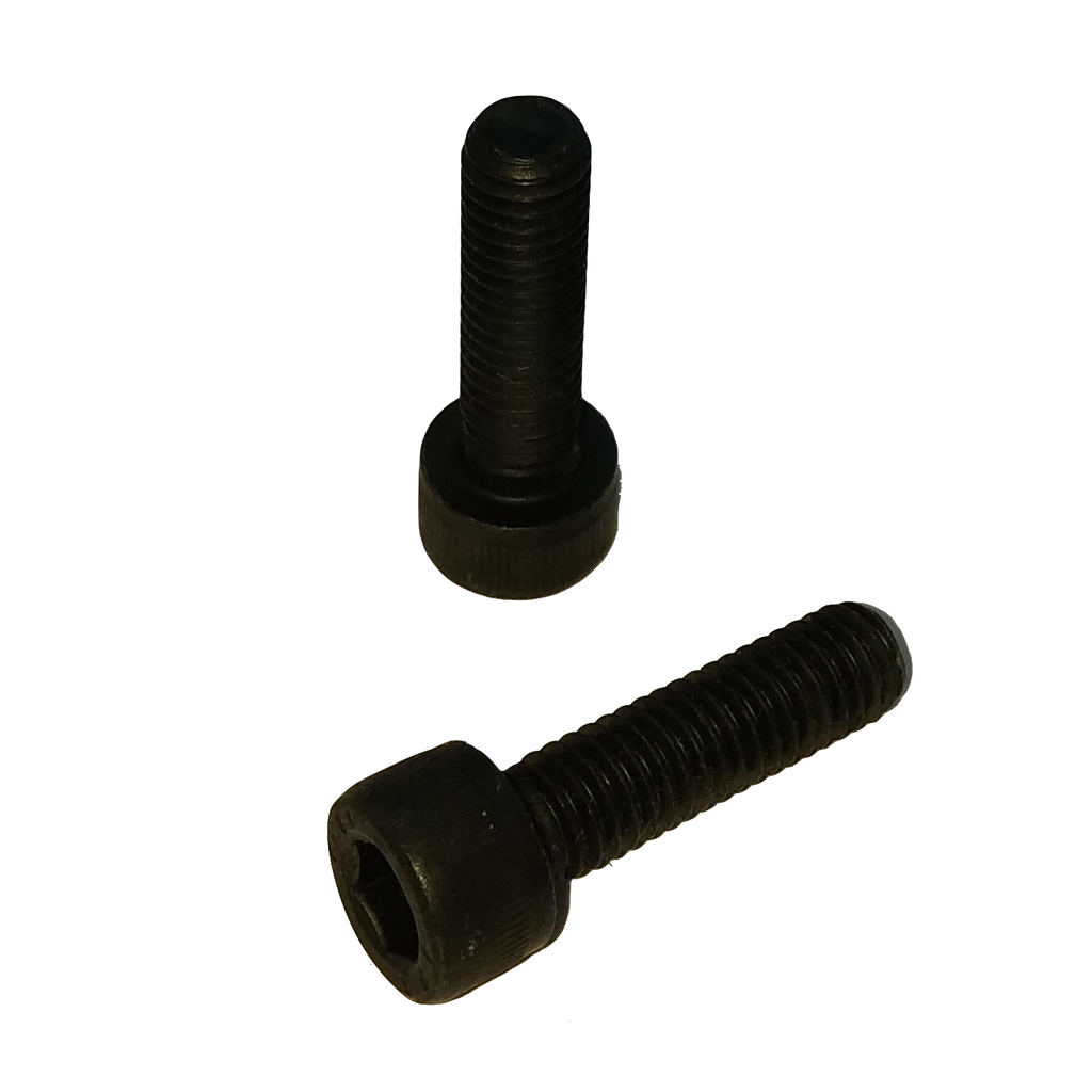 HSH Screw M6X100 L22 CL12.9