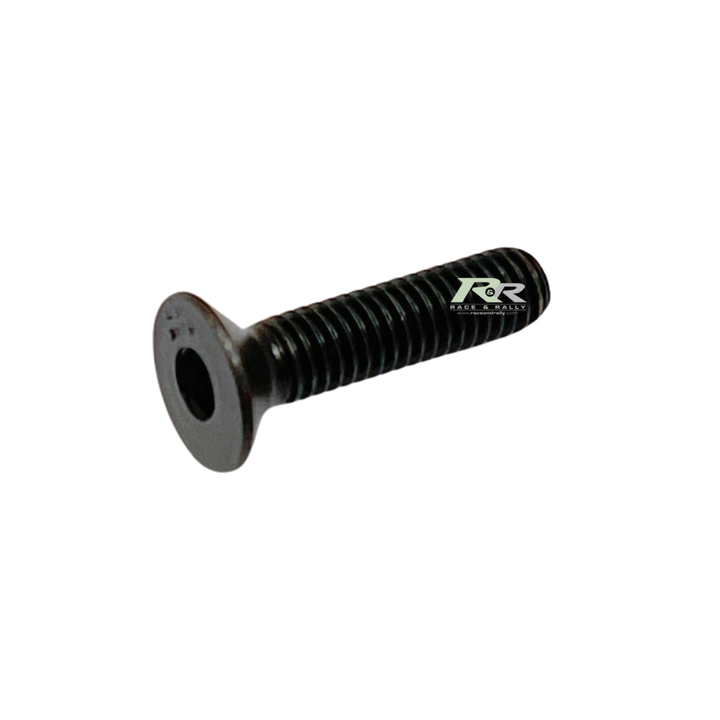 SCREW FHC M6X100