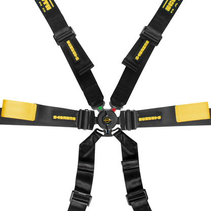 Buckle & adjusters
