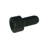 HSH Screw M6X100 L12 CL 8.8